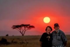 SafariSunset